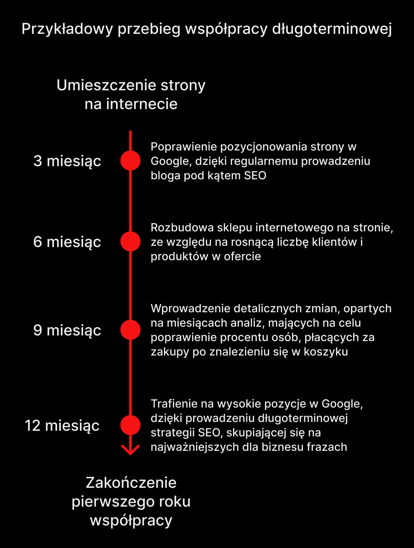 Przykładowy przebieg współpracy długoterminowej z twórcą stron internetowych
