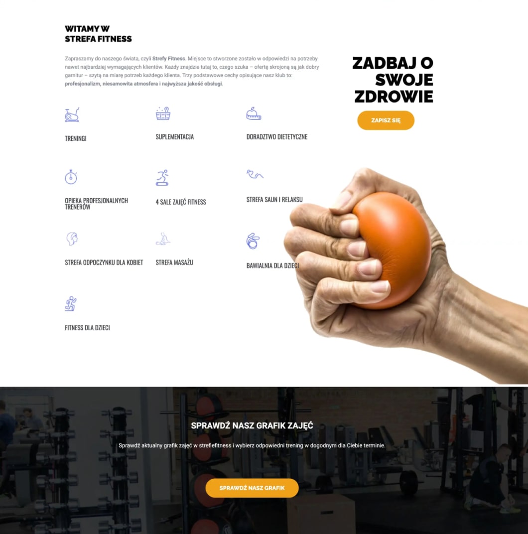 Stara wersja strony internetowej siłowni Strefa Fitness, sekcja wstępu